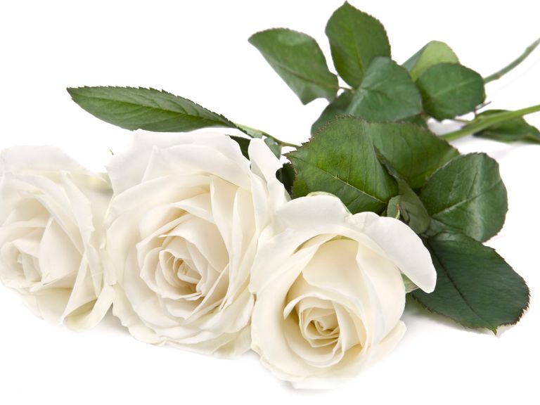time of your life ceremonies Kate lusty celebrant flowers 1