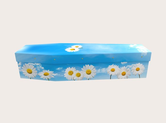 Daisy Sky 31595