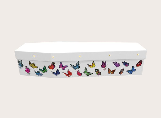 Rainbow Butterflies (3282)