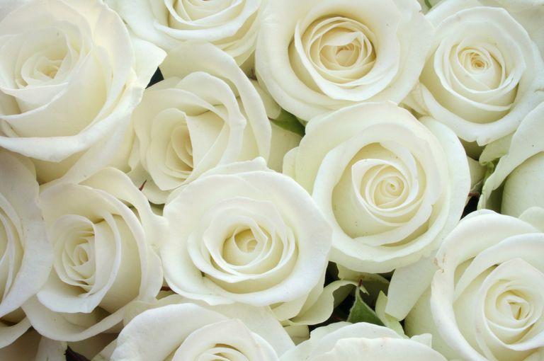 time of your life ceremonies Kate lusty celebrant flowers